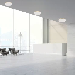 Sklep Kaja Biało-złoty plafon LED barwa neutralna LP-335/1C S 4GD – BABILON