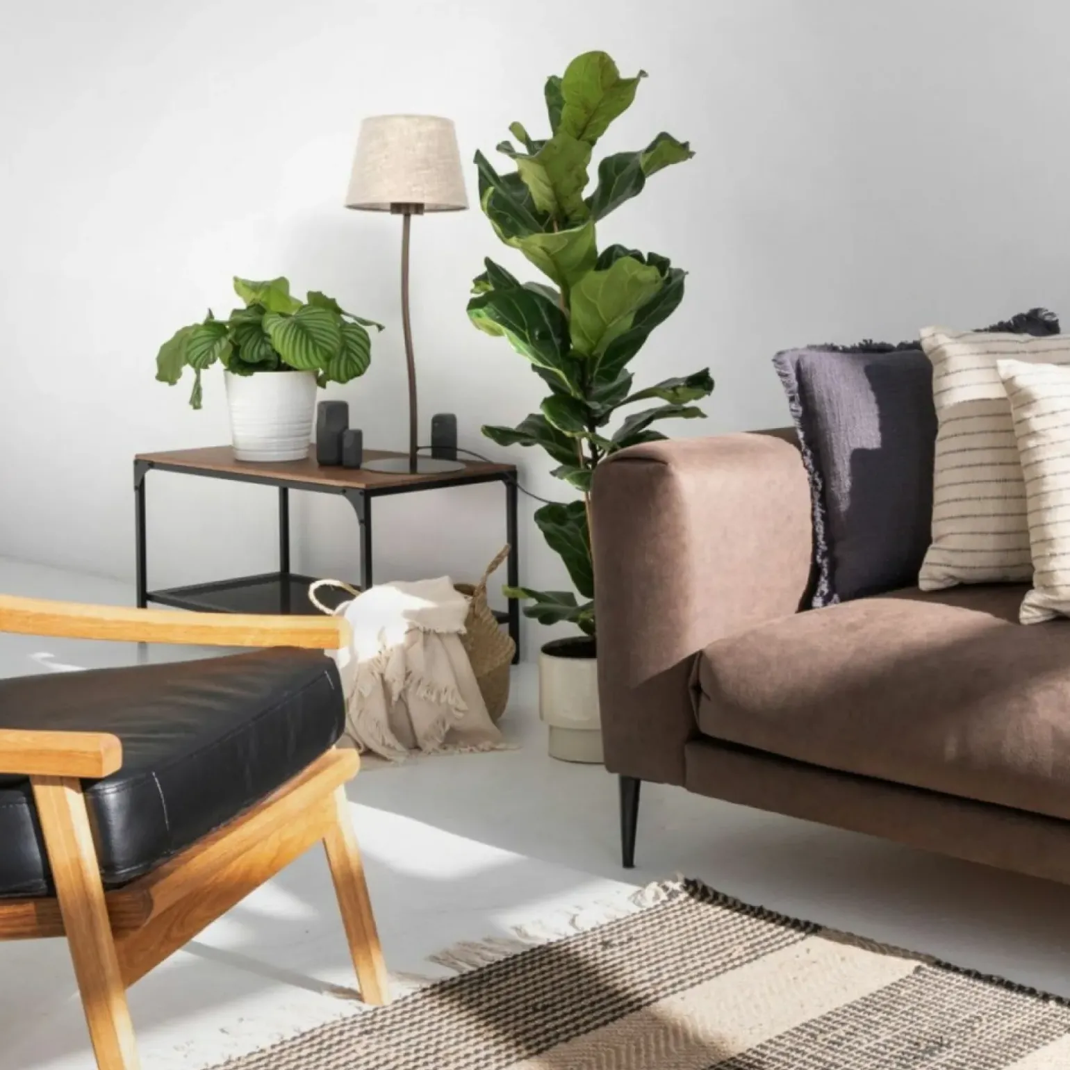 Sklep Kaja Brązowa lampka z lnianym abażurem TK 16027 NICOLA BROWN | Kaja