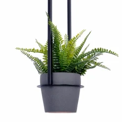 Cheap Czarna lampa wisząca z kwietnikiem K-4038 z serii ESTERA | Kaja Żyrandole Nowoczesne