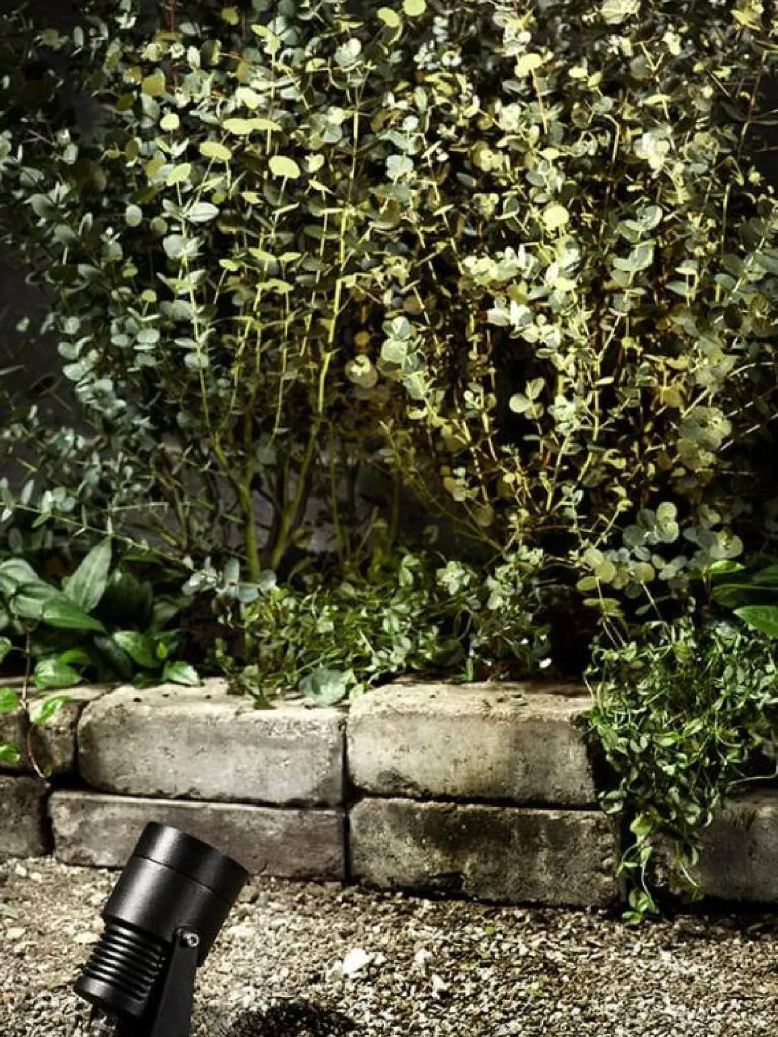 Sklep Kaja Czarny reflektor z regulowanym kątem świecenia, system GARDEN24 106930