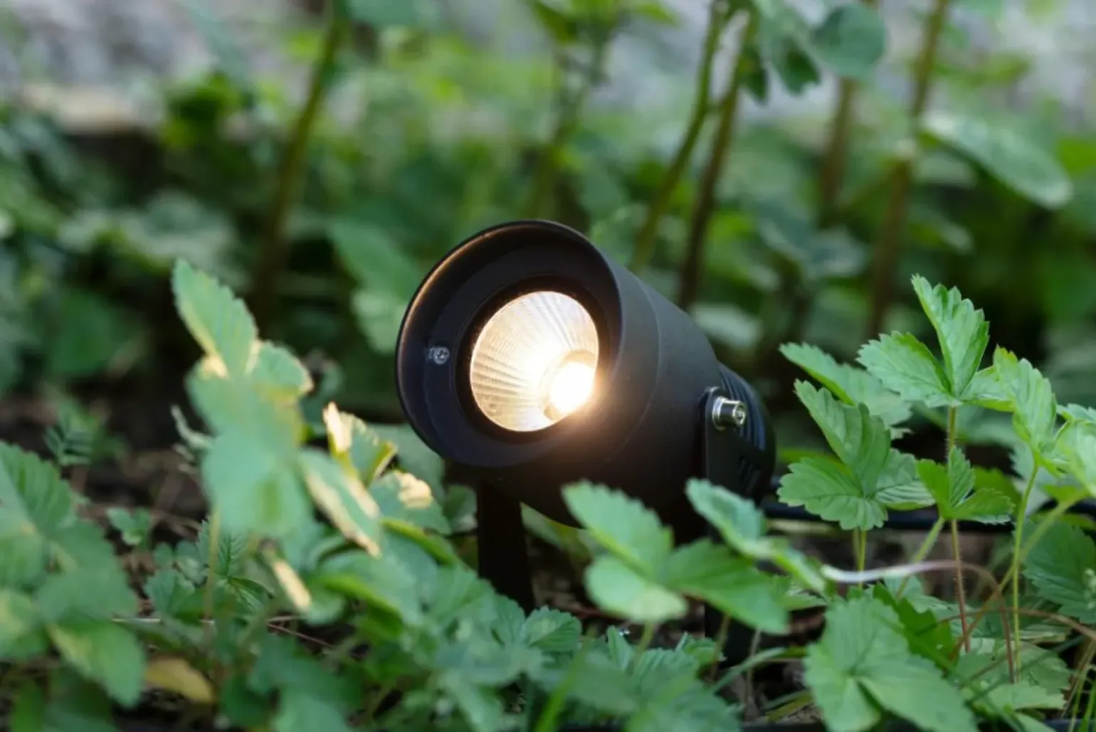 Sklep Kaja Czarny reflektor z regulowanym kątem świecenia, system GARDEN24 106930