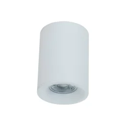 Sklep Kaja Klasyczny spot natynkowy downlight C012CL-01W ALFA | Kaja Oświetlenie