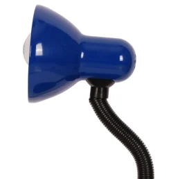 Sklep Kaja Lampka na biurko dla ucznia K-MT-203 CARIBA | Kaja