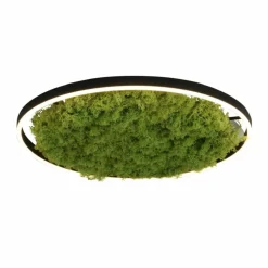 Sklep Kaja Plafon LED z naturalnym mchem, do salonu 15392-66 GREEN RITUS | Kaja