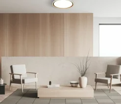 Sklep Kaja Plafon ze zmienną barwą światła PLF-63728-3K4K6K-GD-WH-SL RENDE | Kaja