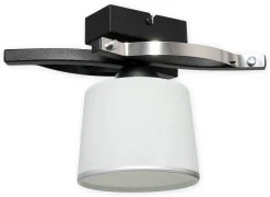 Sklep Kaja Pojedyncza, dekoracyjna lampa sufitowa O2281 P1 CZA z serii ASTRED