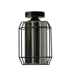 Sklep Kaja Pojedyncza lampa natynkowa z dymionym kloszem 31-08404 z serii JONERA
