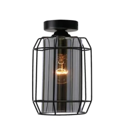 Sklep Kaja Pojedyncza lampa natynkowa z dymionym kloszem 31-08404 z serii JONERA