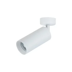 Sklep Kaja Regulowany, natynkowy reflektorek C017CW-01W FOCUS | Kaja Oświetlenie