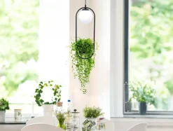 New Stylowa lampa wisząca z miejscem na doniczkę 5003 z serii PLANT | Kaja Żyrandole Nowoczesne