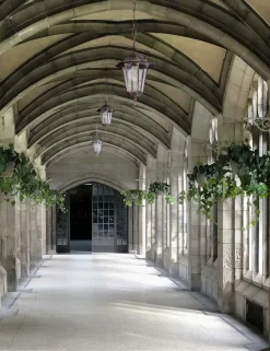 Sklep Kaja Wisząca lampa na łańcuchu K-5009H CZ/ZŁ STANDARD | Kaja Oświetlenie